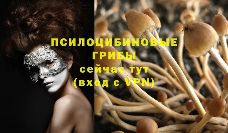 Галлюциногенные грибы Magic Shrooms  Тырныауз 